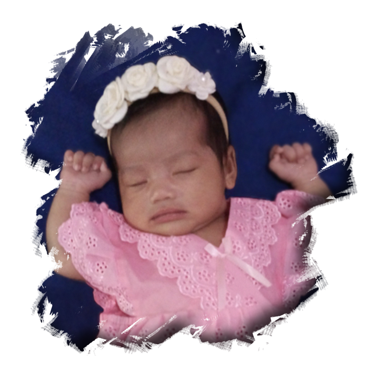 Arumi Zivana Abelia Dara